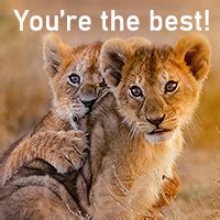 Send a WWF friendship and love ecard .